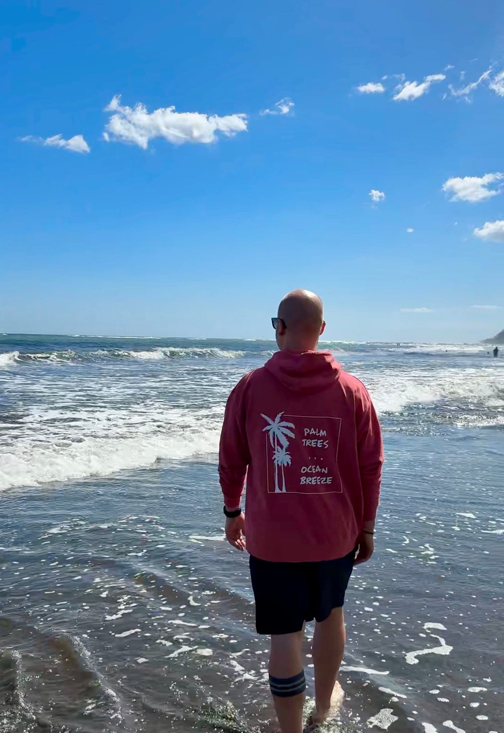 HOODIE "PALM TREES" | cranberry
